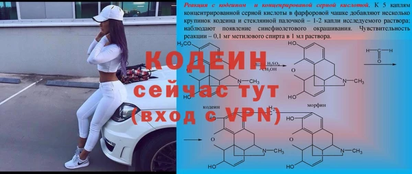 индика Абаза