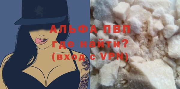 индика Абаза