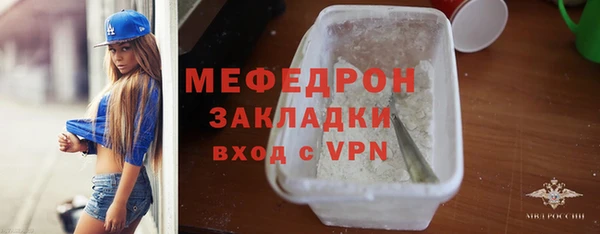 индика Абаза