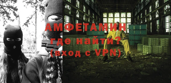индика Абаза