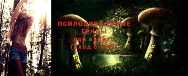 индика Абаза