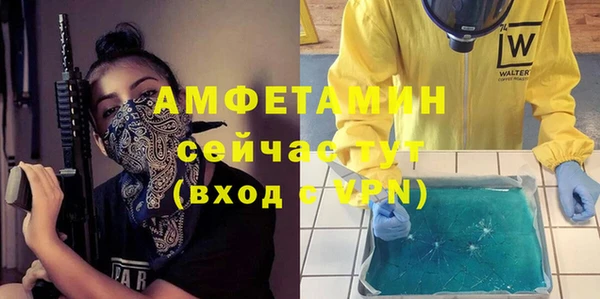 индика Абаза