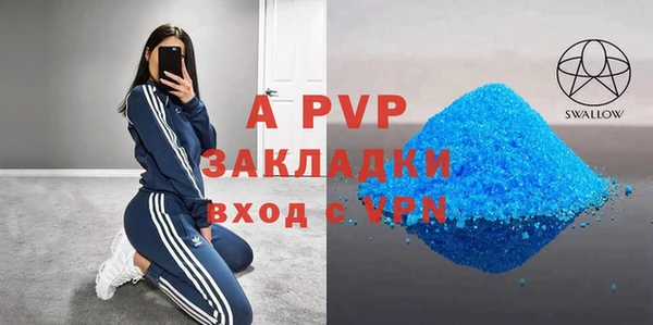 индика Абаза