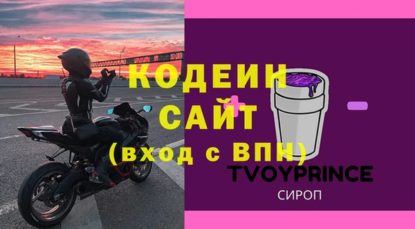индика Абаза